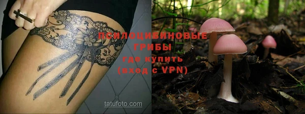 ПСИЛОЦИБИНОВЫЕ ГРИБЫ Нязепетровск
