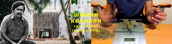 ПСИЛОЦИБИНОВЫЕ ГРИБЫ Нязепетровск