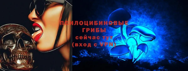 mix Осинники