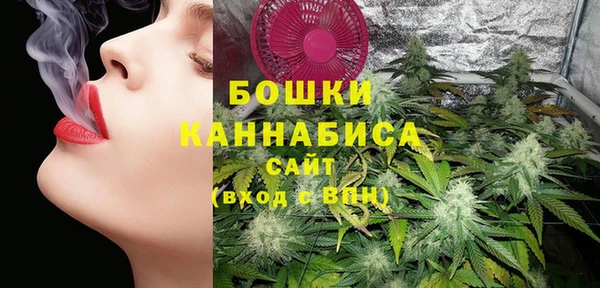 стафф Няндома