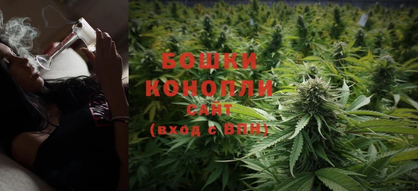 стафф Няндома