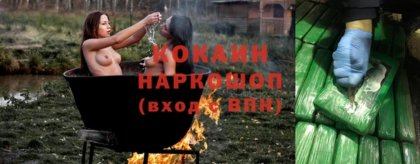 стафф Няндома