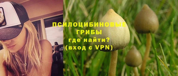 стафф Няндома