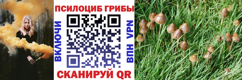 Псилоцибиновые грибы MAGIC MUSHROOMS Пошехонье